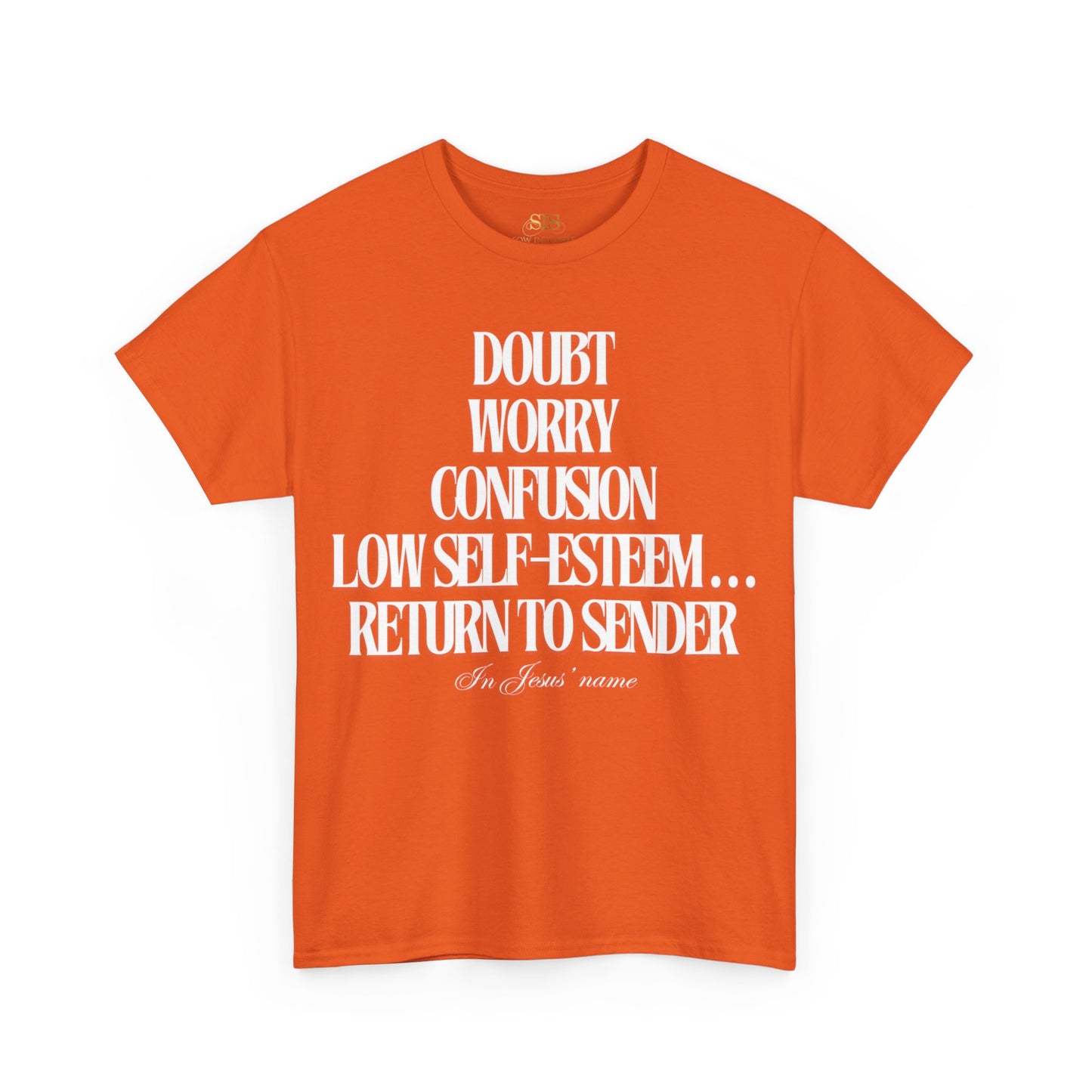 Return to Sender Tee (Original)