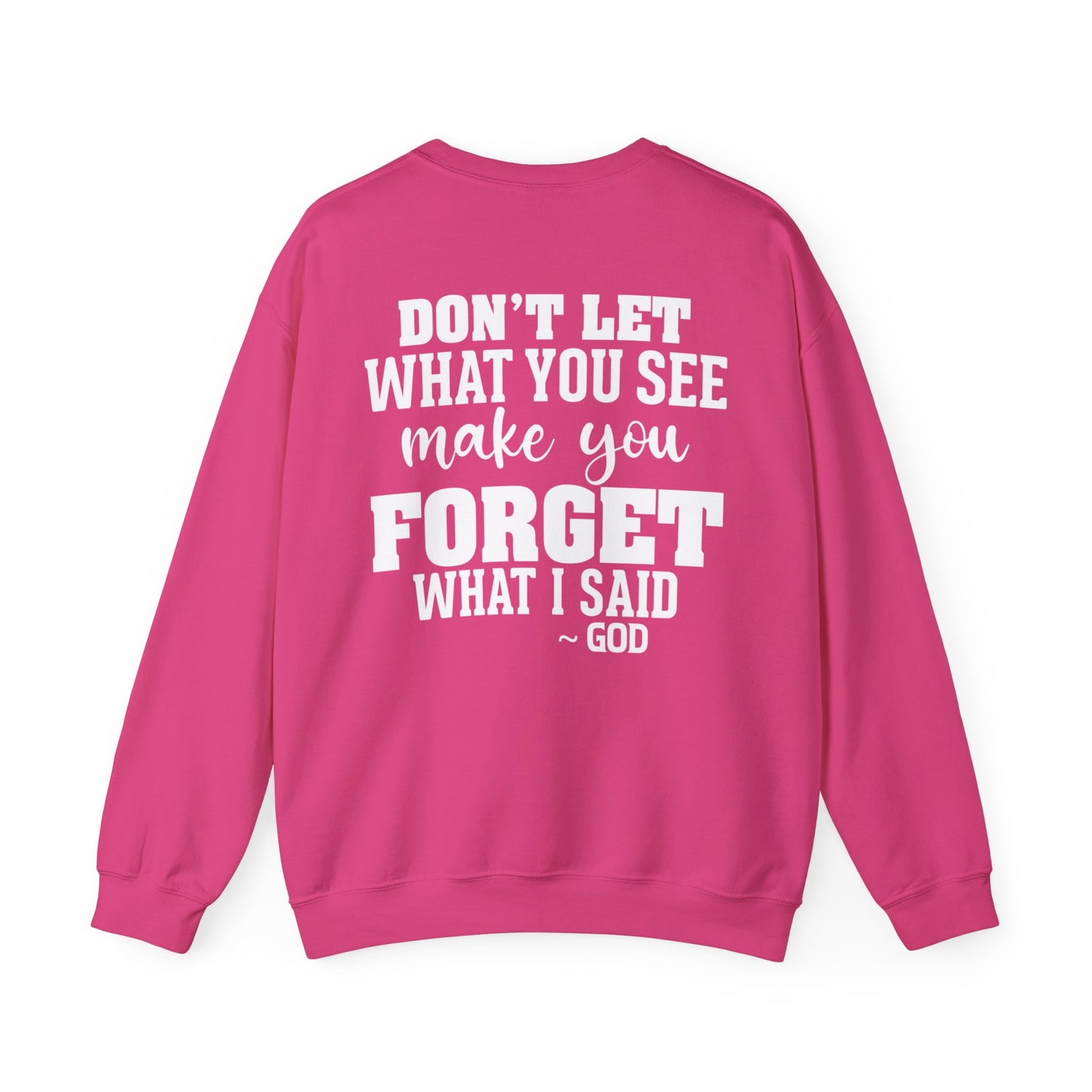 Dont Let What You See Make You Forget Sweatshirt